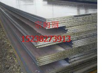 供应核电用钢： 20MnHR  A42  A48  